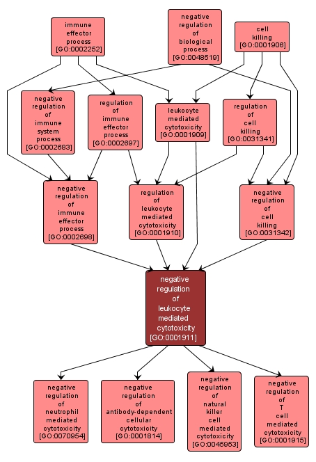 GO:0001911 - negative regulation of leukocyte mediated cytotoxicity (interactive image map)