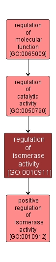 GO:0010911 - regulation of isomerase activity (interactive image map)