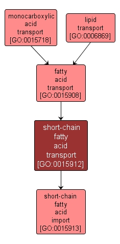 GO:0015912 - short-chain fatty acid transport (interactive image map)