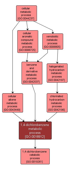 GO:0018912 - 1,4-dichlorobenzene metabolic process (interactive image map)