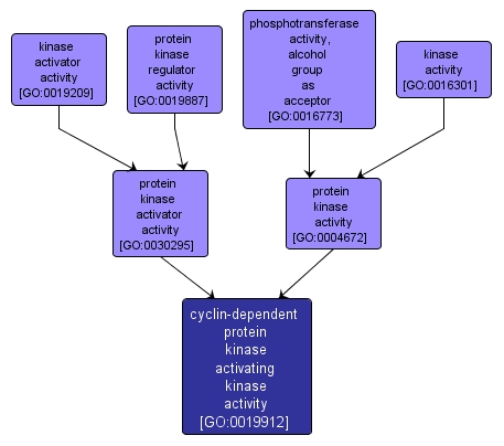 GO:0019912 - cyclin-dependent protein kinase activating kinase activity (interactive image map)