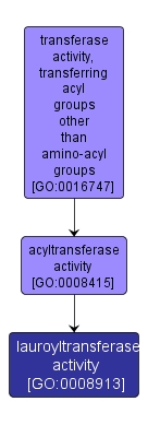 GO:0008913 - lauroyltransferase activity (interactive image map)