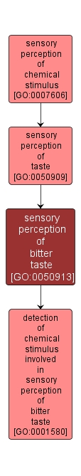 GO:0050913 - sensory perception of bitter taste (interactive image map)