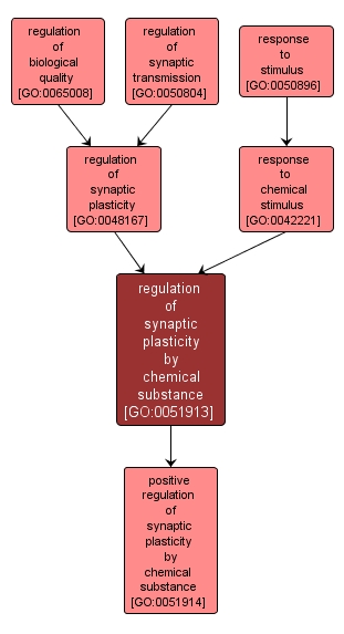 GO:0051913 - regulation of synaptic plasticity by chemical substance (interactive image map)