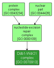 GO:0070913 - Ddb1-Wdr21 complex (interactive image map)