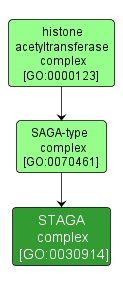GO:0030914 - STAGA complex (interactive image map)
