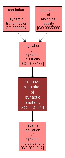 GO:0031914 - negative regulation of synaptic plasticity (interactive image map)