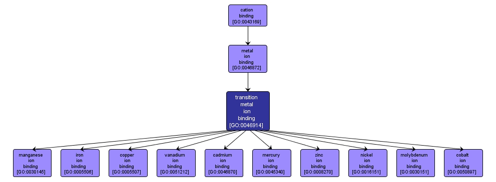 GO:0046914 - transition metal ion binding (interactive image map)