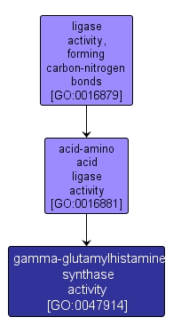 GO:0047914 - gamma-glutamylhistamine synthase activity (interactive image map)