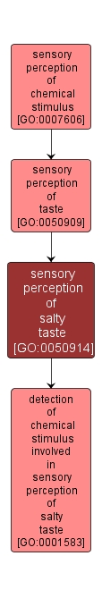 GO:0050914 - sensory perception of salty taste (interactive image map)