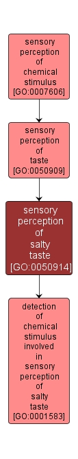GO:0050914 - sensory perception of salty taste (interactive image map)