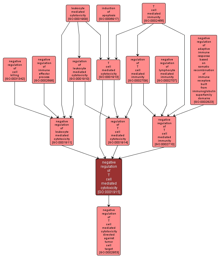 GO:0001915 - negative regulation of T cell mediated cytotoxicity (interactive image map)