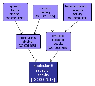 GO:0004915 - interleukin-6 receptor activity (interactive image map)