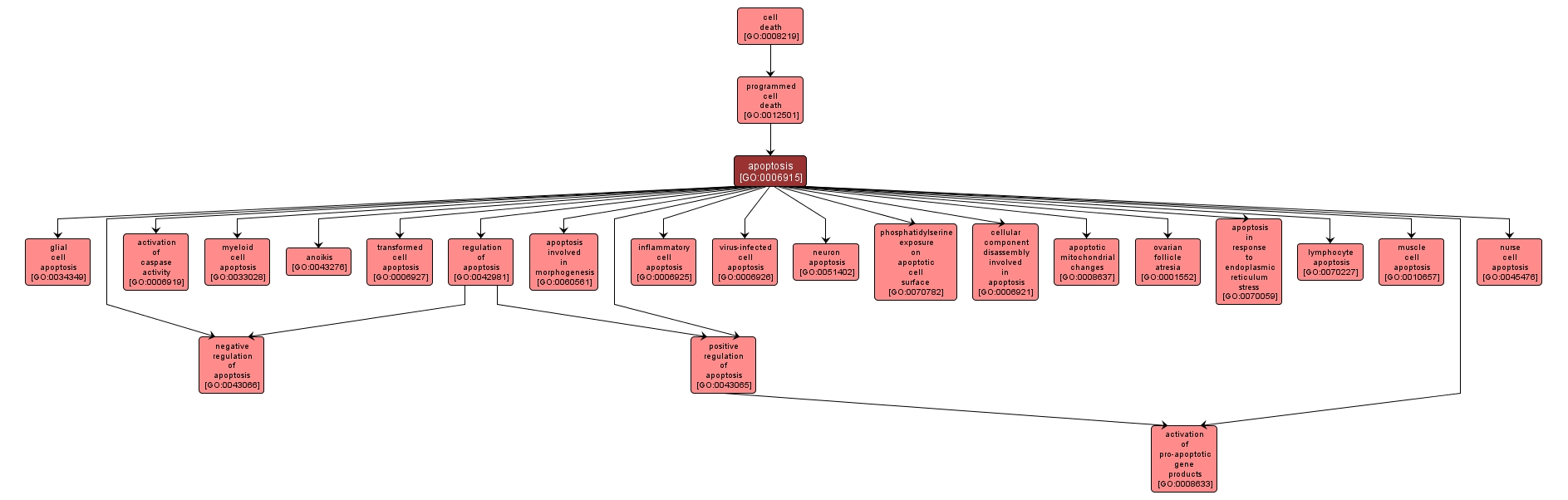 GO:0006915 - apoptosis (interactive image map)