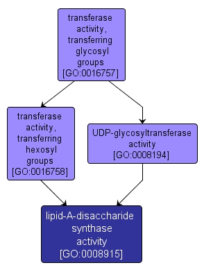 GO:0008915 - lipid-A-disaccharide synthase activity (interactive image map)