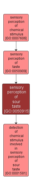 GO:0050915 - sensory perception of sour taste (interactive image map)