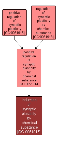 GO:0051915 - induction of synaptic plasticity by chemical substance (interactive image map)