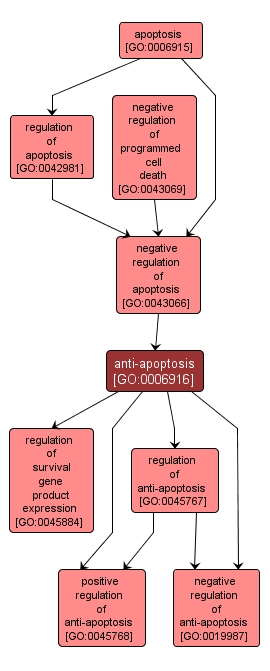 GO:0006916 - anti-apoptosis (interactive image map)