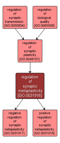 GO:0031916 - regulation of synaptic metaplasticity (interactive image map)