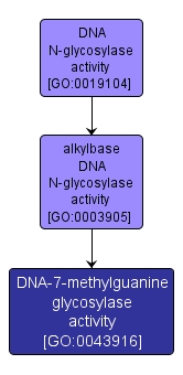 GO:0043916 - DNA-7-methylguanine glycosylase activity (interactive image map)