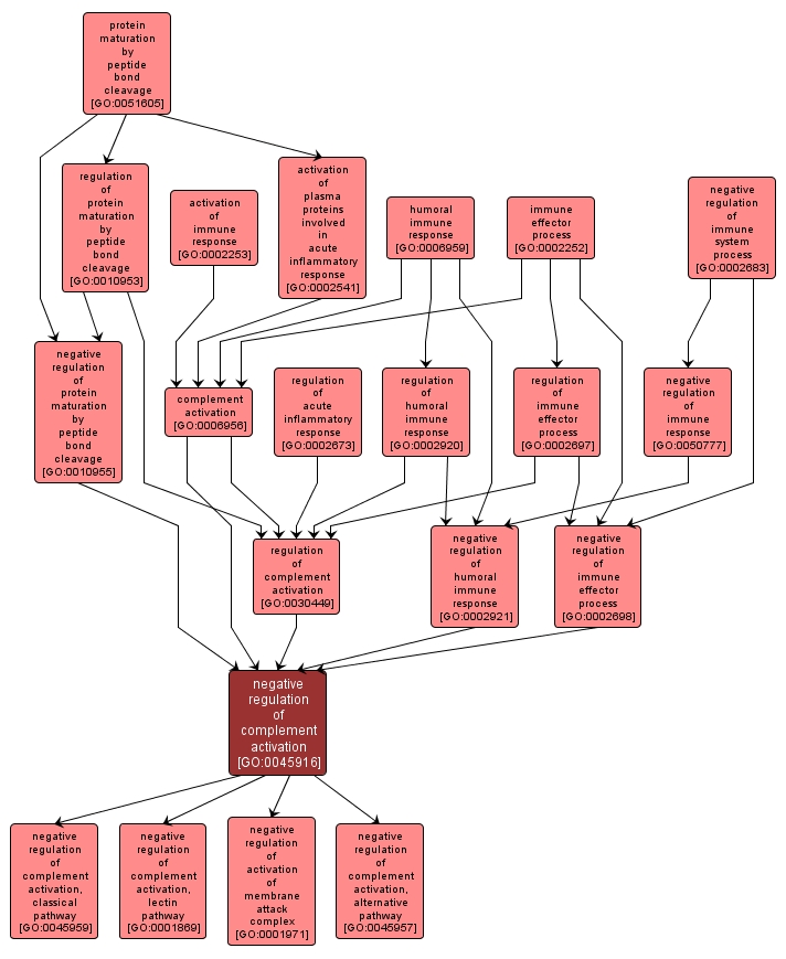 GO:0045916 - negative regulation of complement activation (interactive image map)