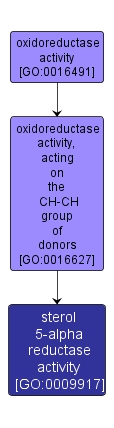 GO:0009917 - sterol 5-alpha reductase activity (interactive image map)