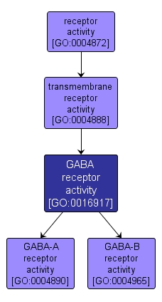 GO:0016917 - GABA receptor activity (interactive image map)