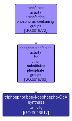 GO:0046917 - triphosphoribosyl-dephospho-CoA synthase activity (interactive image map)