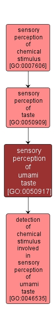 GO:0050917 - sensory perception of umami taste (interactive image map)