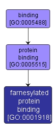 GO:0001918 - farnesylated protein binding (interactive image map)
