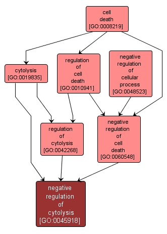 GO:0045918 - negative regulation of cytolysis (interactive image map)