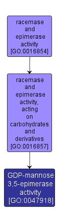 GO:0047918 - GDP-mannose 3,5-epimerase activity (interactive image map)