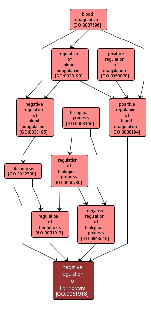 GO:0051918 - negative regulation of fibrinolysis (interactive image map)