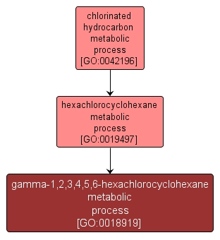 GO:0018919 - gamma-1,2,3,4,5,6-hexachlorocyclohexane metabolic process (interactive image map)