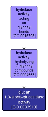 GO:0033919 - glucan 1,3-alpha-glucosidase activity (interactive image map)