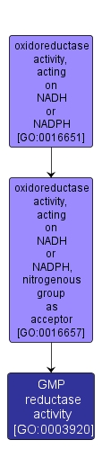 GO:0003920 - GMP reductase activity (interactive image map)