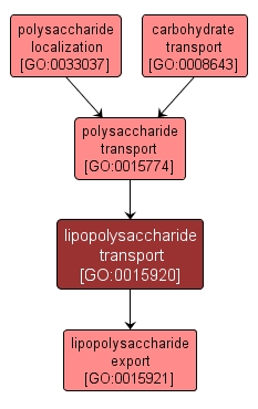 GO:0015920 - lipopolysaccharide transport (interactive image map)