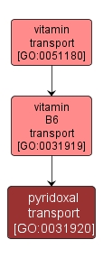 GO:0031920 - pyridoxal transport (interactive image map)