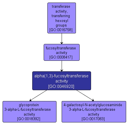 GO:0046920 - alpha(1,3)-fucosyltransferase activity (interactive image map)