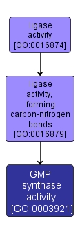 GO:0003921 - GMP synthase activity (interactive image map)