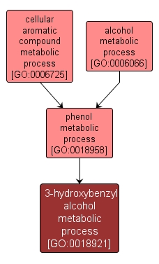 GO:0018921 - 3-hydroxybenzyl alcohol metabolic process (interactive image map)