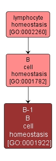 GO:0001922 - B-1 B cell homeostasis (interactive image map)