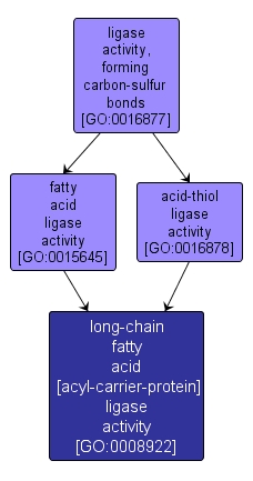 GO:0008922 - long-chain fatty acid [acyl-carrier-protein] ligase activity (interactive image map)