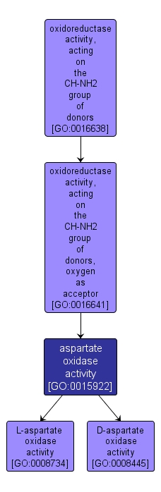 GO:0015922 - aspartate oxidase activity (interactive image map)