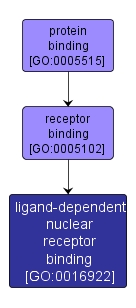 GO:0016922 - ligand-dependent nuclear receptor binding (interactive image map)
