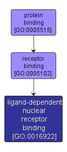 GO:0016922 - ligand-dependent nuclear receptor binding (interactive image map)