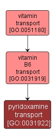 GO:0031922 - pyridoxamine transport (interactive image map)