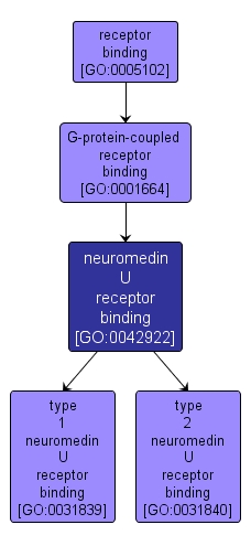 GO:0042922 - neuromedin U receptor binding (interactive image map)