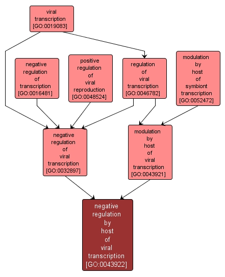 GO:0043922 - negative regulation by host of viral transcription (interactive image map)