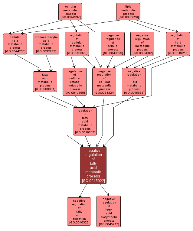 GO:0045922 - negative regulation of fatty acid metabolic process (interactive image map)